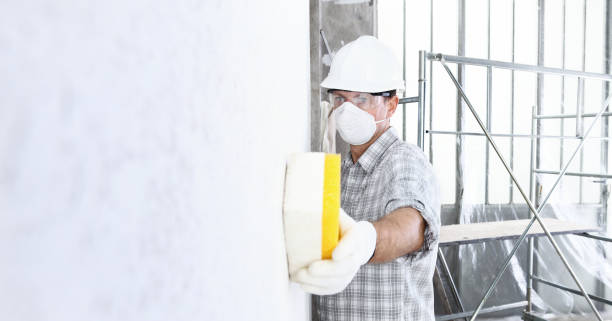 Pleasant View, TN Mold Removal Company