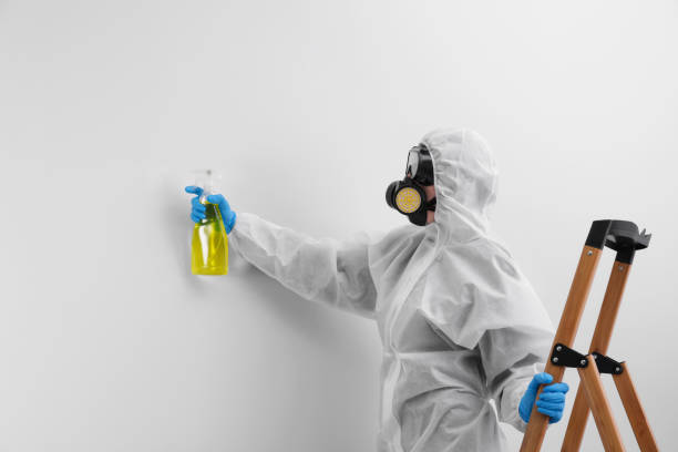 Why You Should Choose Our Mold Remediation Services in Pleasant View, TN